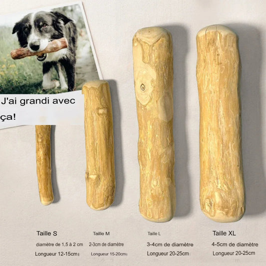 Jouet à mâcher pour chien – Bois de café naturel, sûr et ludique - Le Panier du Chien