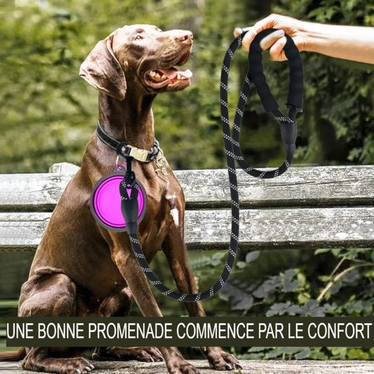 Laisse réfléchissante ultra-résistante pour chien – Contrôle et sécurité nocturne