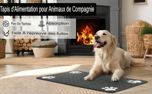 Tapis absorbant pour chien et chat – Antidérapant, imperméable, facile à nettoyer - Le Panier du Chien