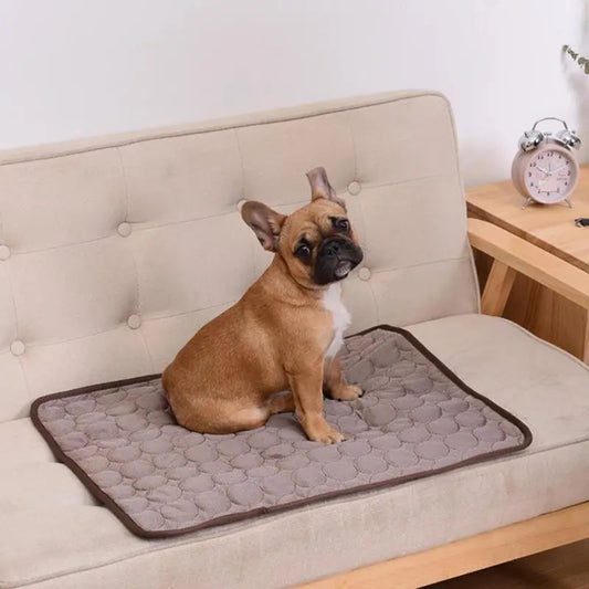 Tapis rafraîchissant pour chien et chat – Confort, fraîcheur et anti-chaleur - Le Panier du Chien