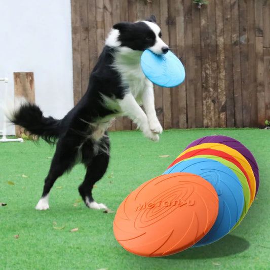 Disque volant pour chien – Léger, résistant et stimulant pour jeux en extérieur - Le Panier du Chien