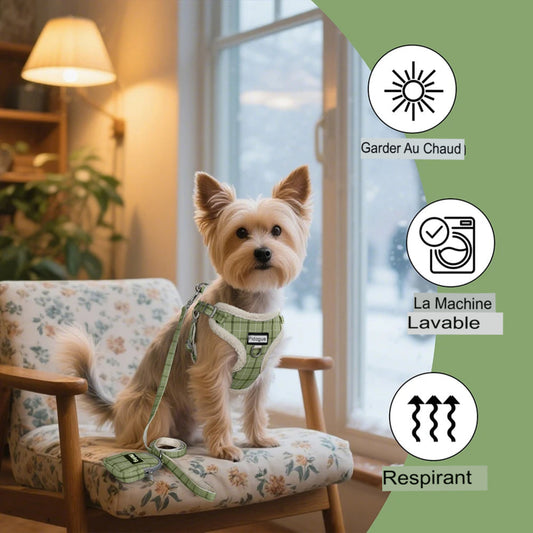 Harnais doux anti-traction réglable pour chien et chat avec laisse