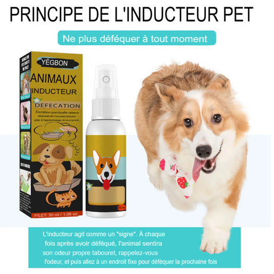 Inducteur de défécation PupMED pour chiens et chats, pot d'entraînement facile