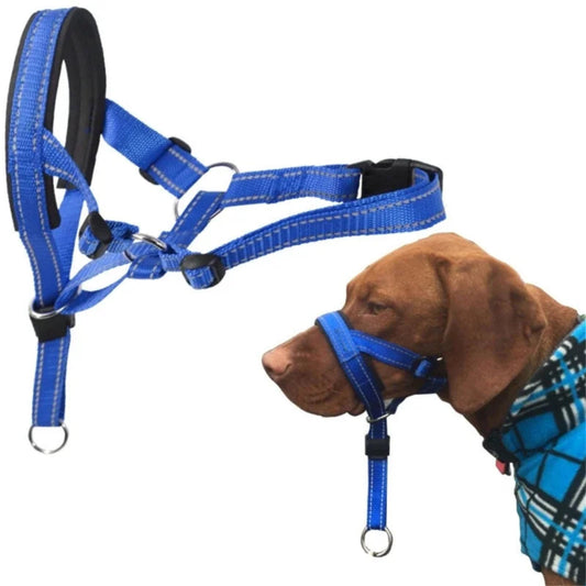 Licou de dressage Halti pour chien en nylon, réglable et anti-tirage