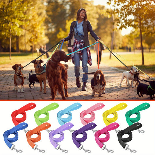 Lot de 12 laisses en nylon 1,5 m pour chiens, 12 couleurs modernes pour entraînement et promenade