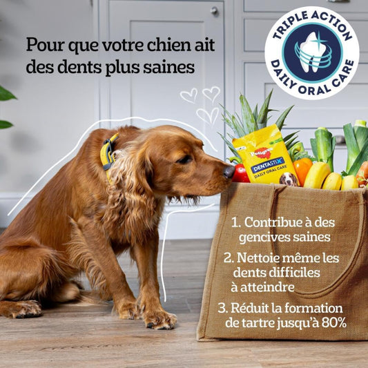 Pedigree DENTASTIX 56 Bâtonnets à Mâcher pour Grand Chiens 25kg+, 8 Sachets de 7, Saveur Poulet et Bœuf, Détartrage Dentaire Chien, Soins Dentaires pour Chien
