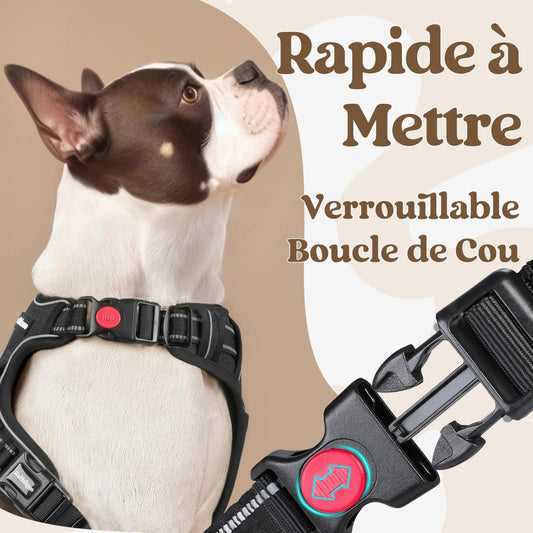 rabbitgoo Harnais Chien avec 3 Boucles, Facile à Mettre et à Enlever, Harnais Anti Traction pour Chien avec Poignée et Attache Devant, Réglable, Réfléchissant, Arnet pour Chiens Grand, Noir, L