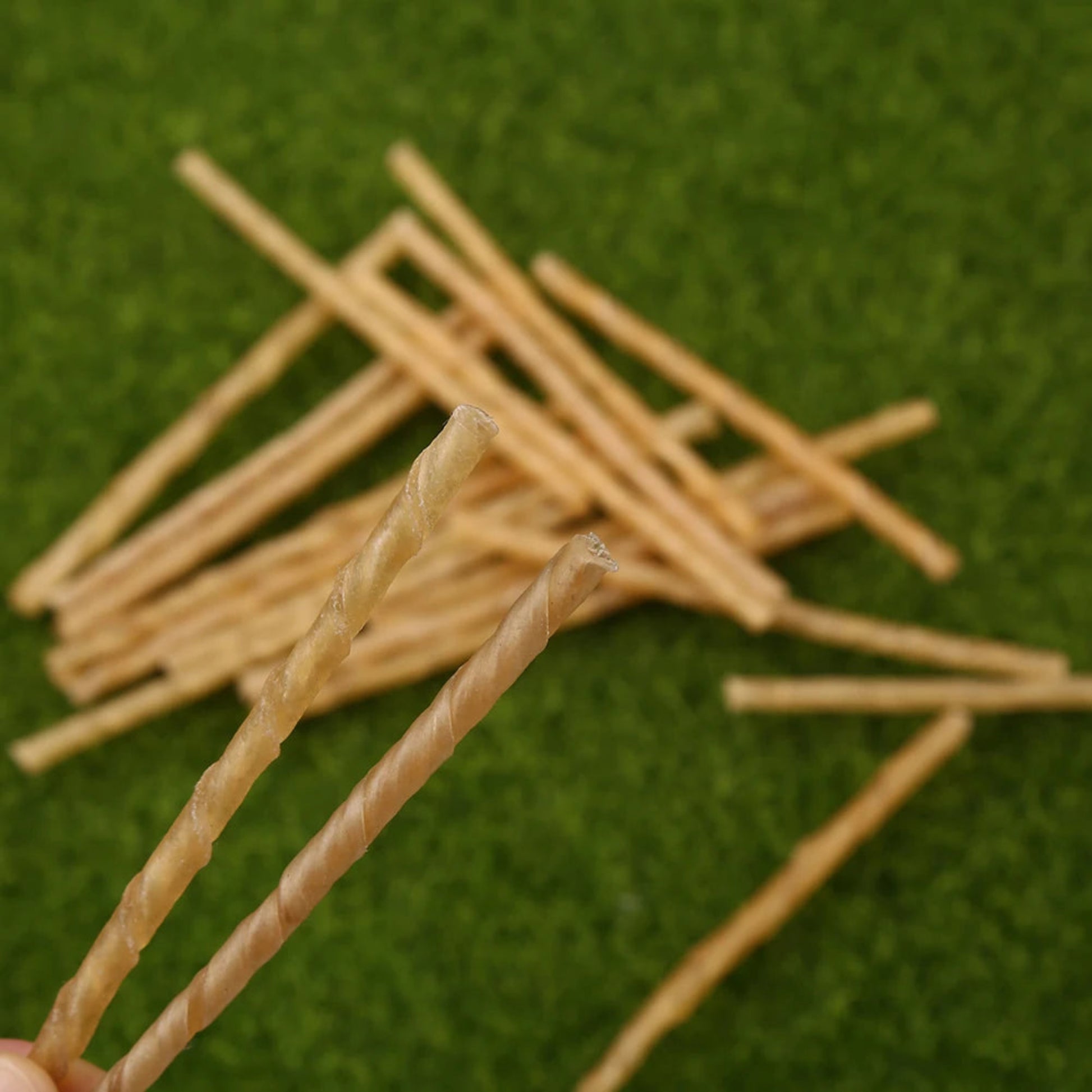 Bâtonnets à mâcher pour chien – Sans conservateurs, 100 % digestibles - Le Panier du Chien