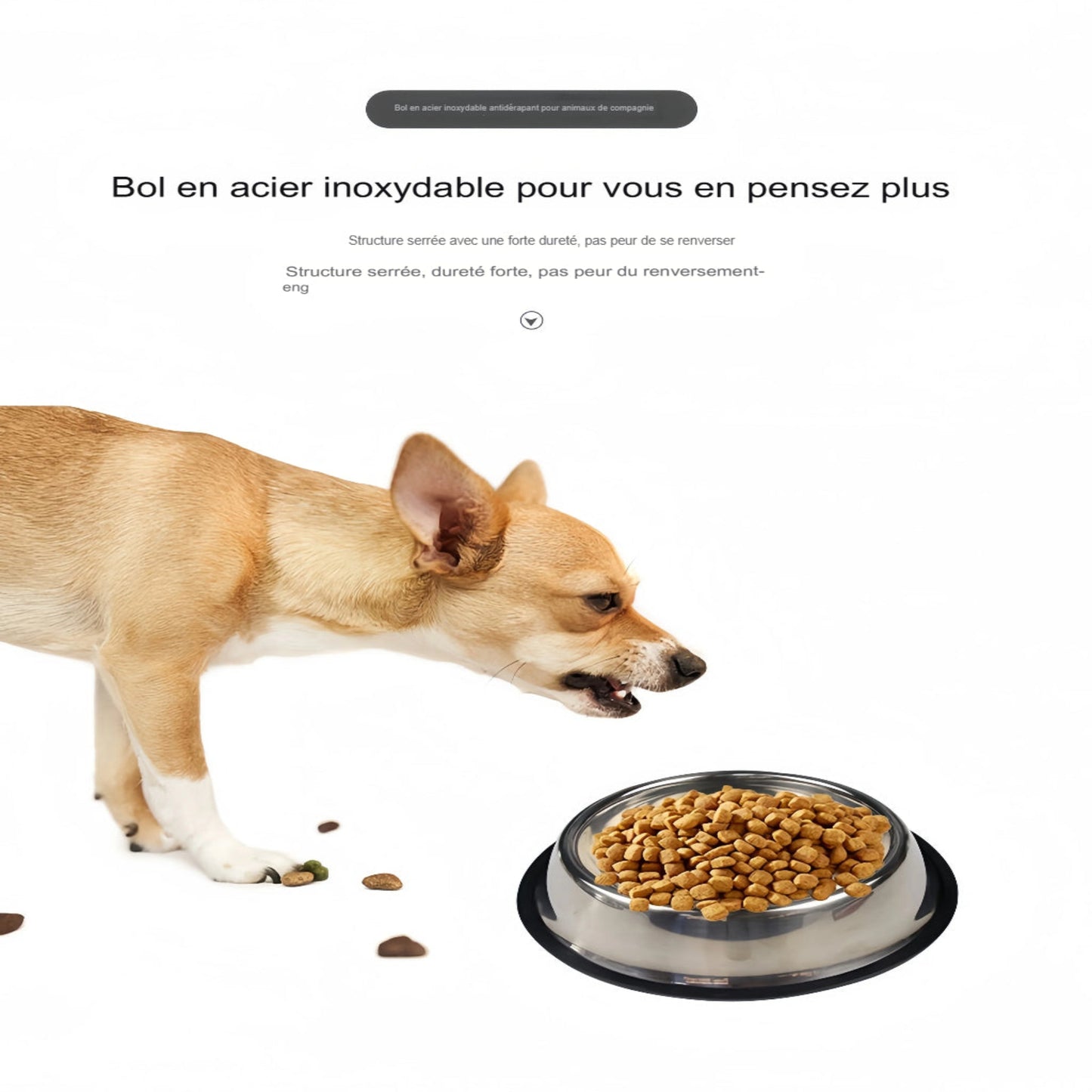Bol en acier inoxydable pour chien et chat – Gamelle durable, hygiénique et stable - undefined