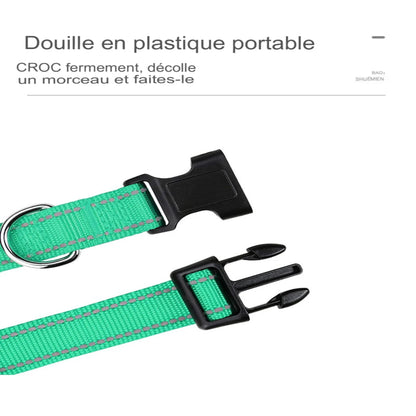 Collier ras du cou décoratif pour petit chien et chiot – Léger, élégant et confortable