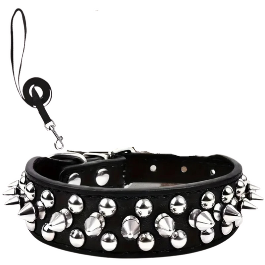 Ensemble collier et laisse à pointes pour chien – Cuir à rivets, style rebelle et solide