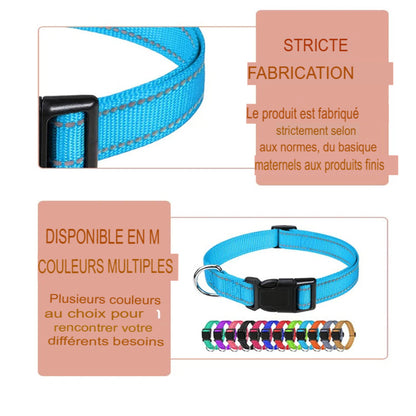Collier ras du cou décoratif pour petit chien et chiot – Léger, élégant et confortable