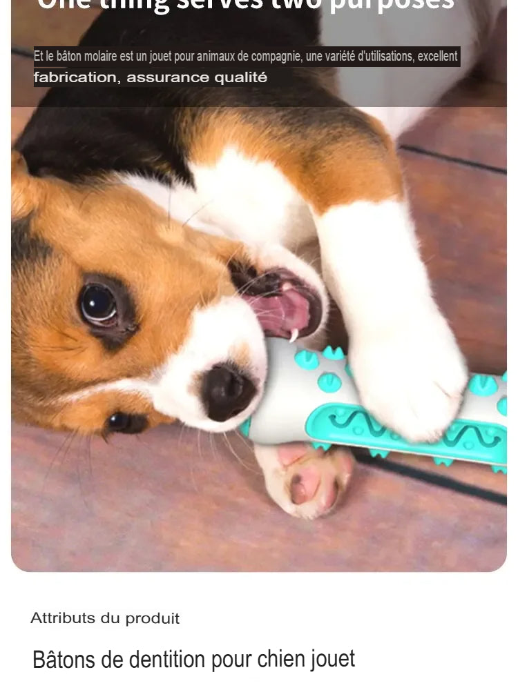 Bâton à mâcher pour chien – Nettoyage des dents, anti-tartre & gencives protégées - Le Panier du Chien