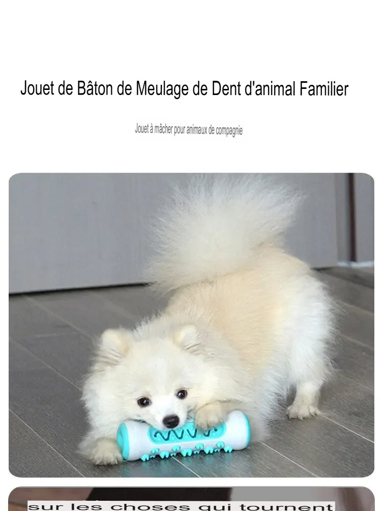 Bâton à mâcher pour chien – Nettoyage des dents, anti-tartre & gencives protégées - Le Panier du Chien