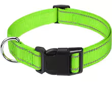 Collier ras du cou décoratif pour petit chien et chiot – Léger, élégant et confortable