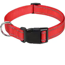 Collier ras du cou décoratif pour petit chien et chiot – Léger, élégant et confortable