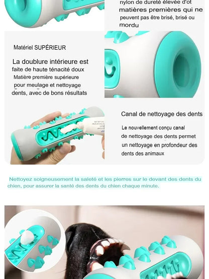 Bâton à mâcher pour chien – Nettoyage des dents, anti-tartre & gencives protégées - Le Panier du Chien
