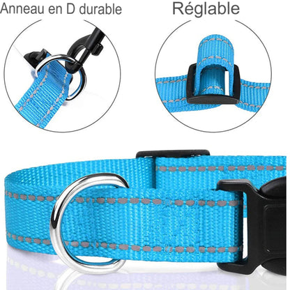 Collier ras du cou décoratif pour petit chien et chiot – Léger, élégant et confortable