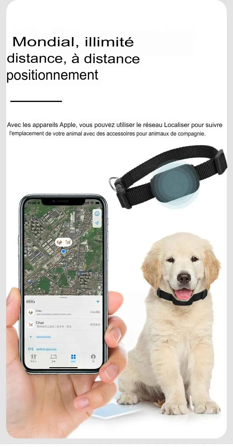 Traceur GPS Bluetooth anti-perte pour chats et chiots avec localisation à distance