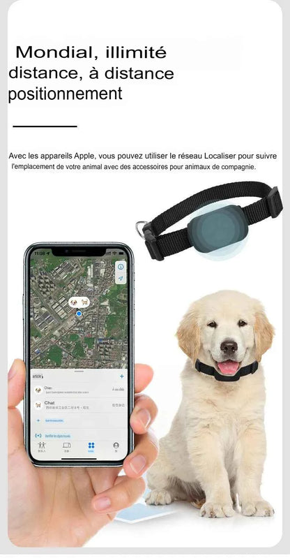 Traceur GPS Bluetooth anti-perte pour chats et chiots avec localisation à distance