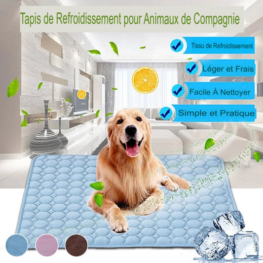 Tapis rafraîchissant pour chien et chat – Confort, fraîcheur et anti-chaleur - Le Panier du Chien