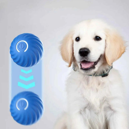 Balle interactive automatique pour chien – Jouet intelligent rotatif USB à mâcher pour chiot et chien actif
