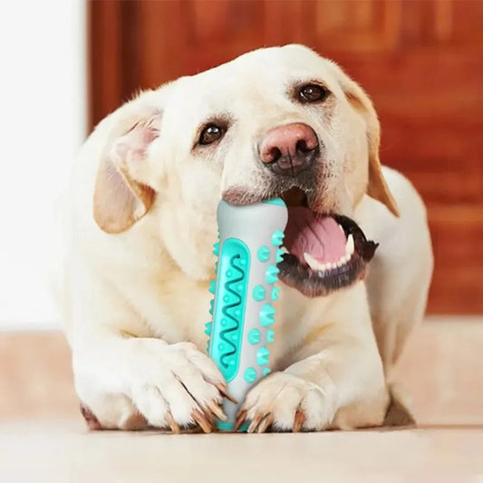 Bâton à mâcher pour chien – Nettoyage des dents, anti-tartre & gencives protégées - Le Panier du Chien