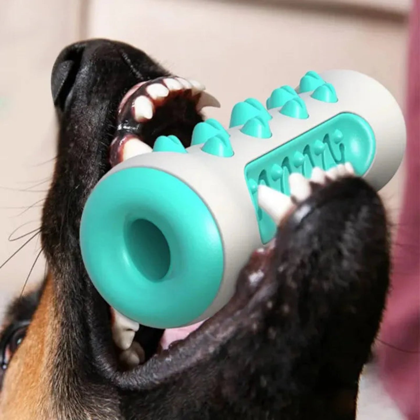 Bâton à mâcher pour chien – Nettoyage des dents, anti-tartre & gencives protégées - Le Panier du Chien