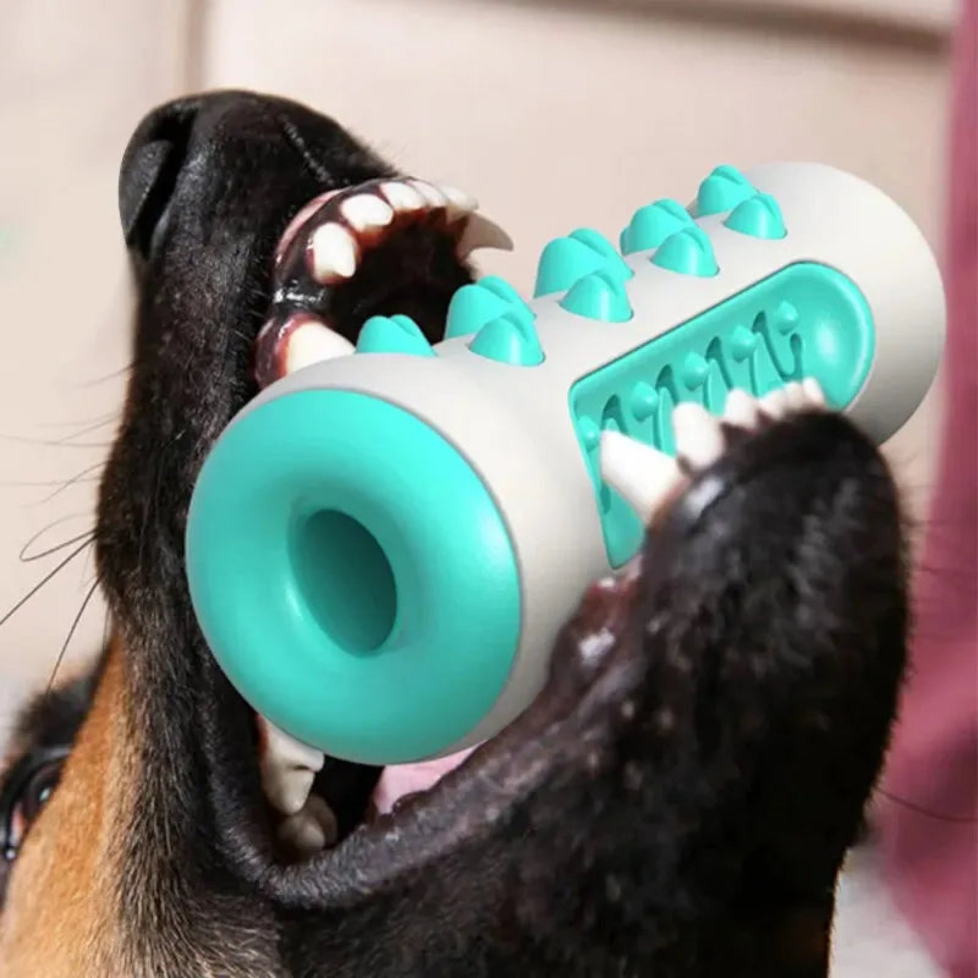 Bâton à mâcher pour chien – Nettoyage des dents, anti-tartre & gencives protégées - Le Panier du Chien