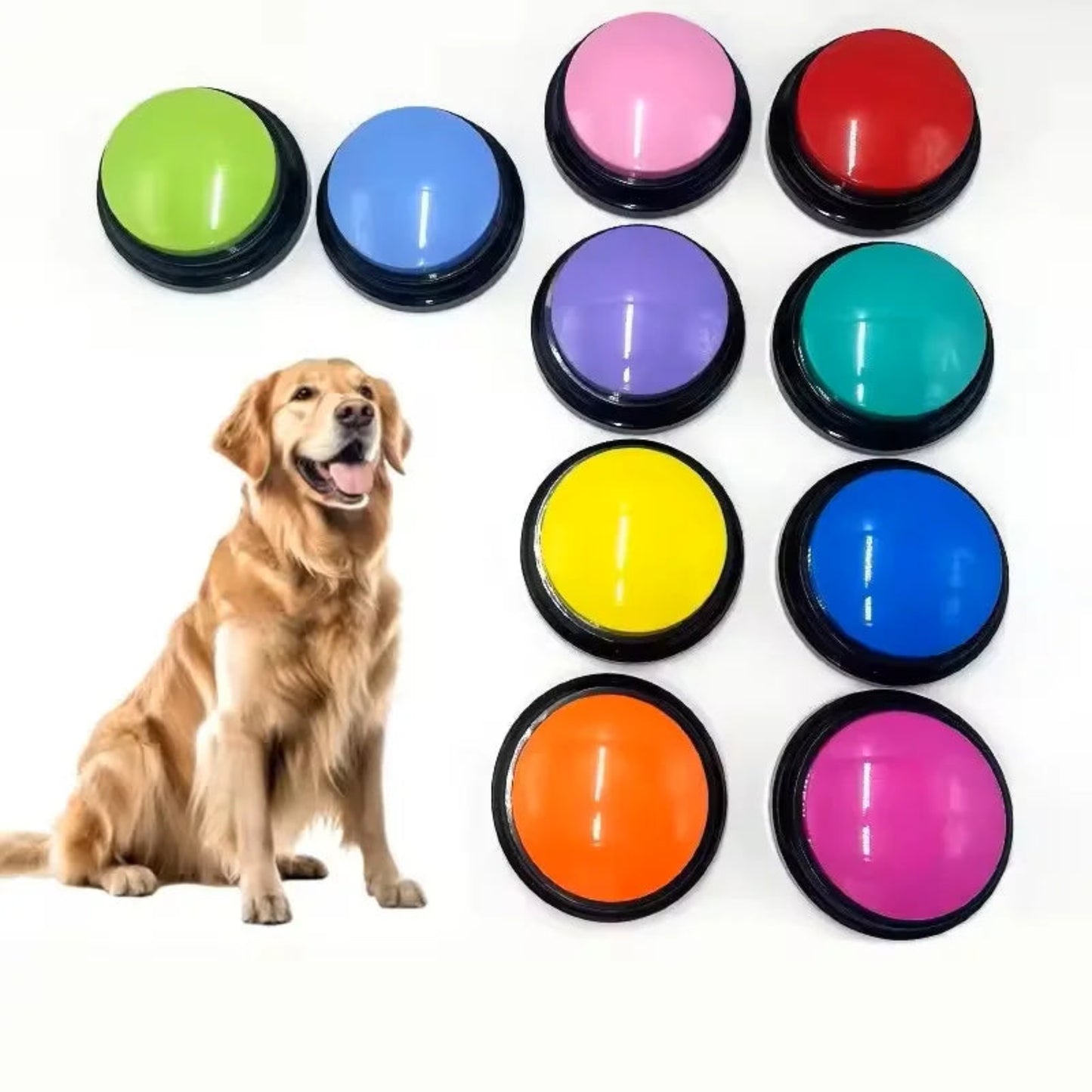 Boutons parlants enregistrables pour chien – Jouets interactifs et éducatifs portables - Le Panier du Chien