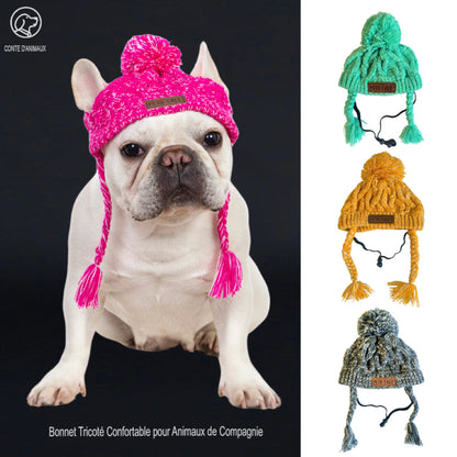Chapeau d’hiver tricoté chaud et coupe-vent pour chien, bonnet doux pour protéger tête et oreilles