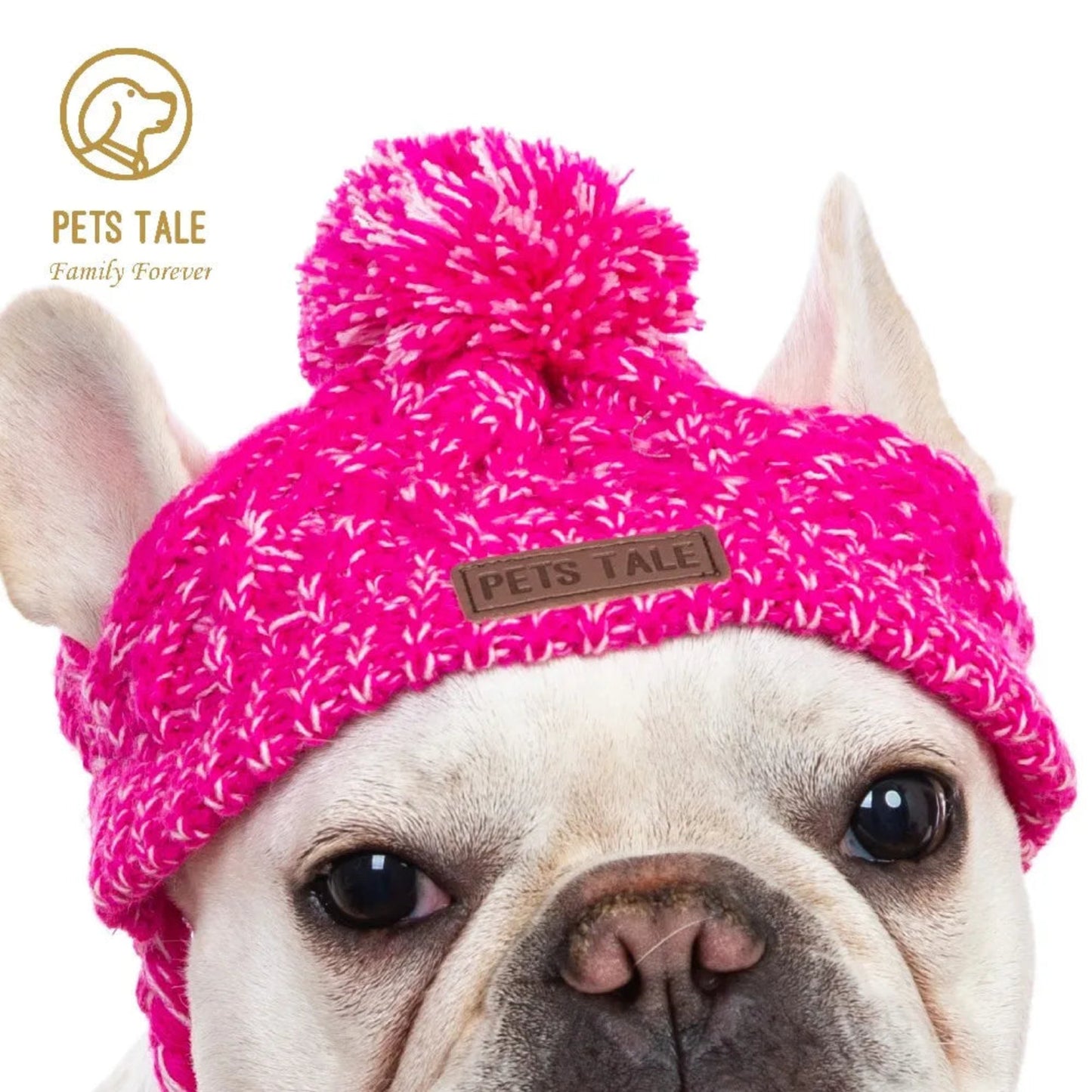 Chapeau d’hiver tricoté chaud et coupe-vent pour chien, bonnet doux pour protéger tête et oreilles