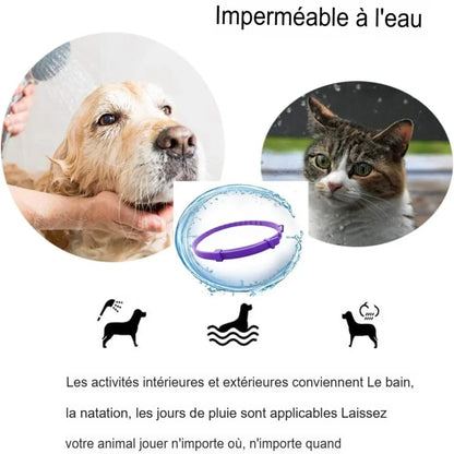 Collier apaisant anti-stress pour chiens et chats aux phéromones naturelles