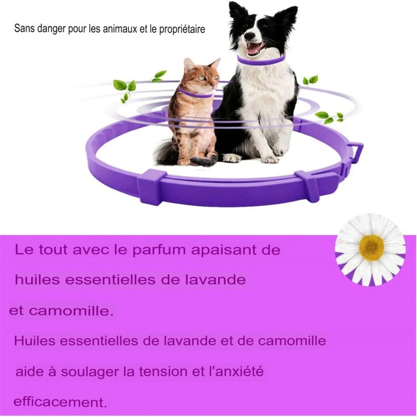 Collier apaisant anti-stress pour chiens et chats aux phéromones naturelles