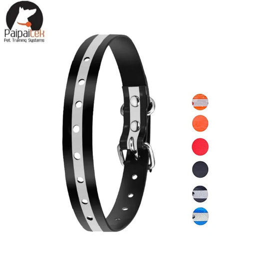 Collier personnalisé pour chien et chat