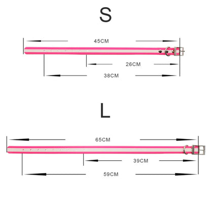 Collier pour chien imperméable en TPU et nylon, anti-odeur et facile à nettoyer, disponible en 7 couleurs