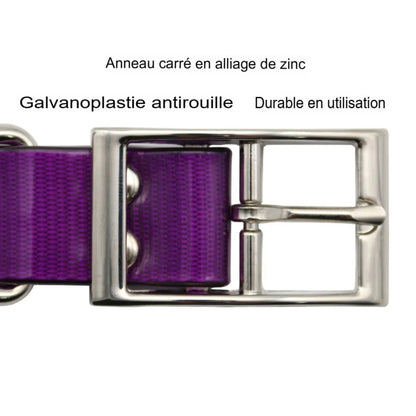 Collier pour chien imperméable en TPU et nylon, anti-odeur et facile à nettoyer, disponible en 7 couleurs