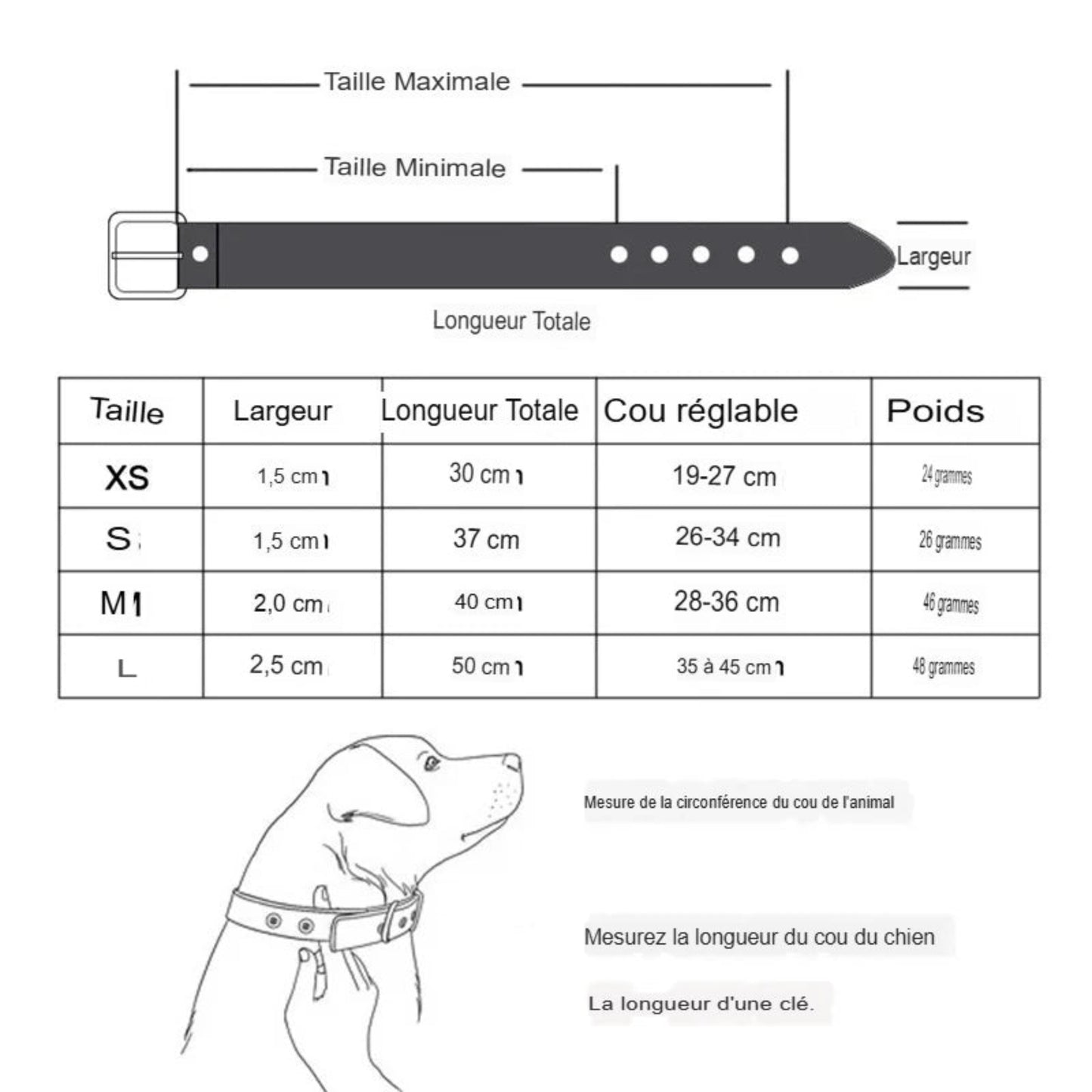 Collier en cuir durable pour chien et chiot, réglable et confortable, adapté aux petits et grands chiens