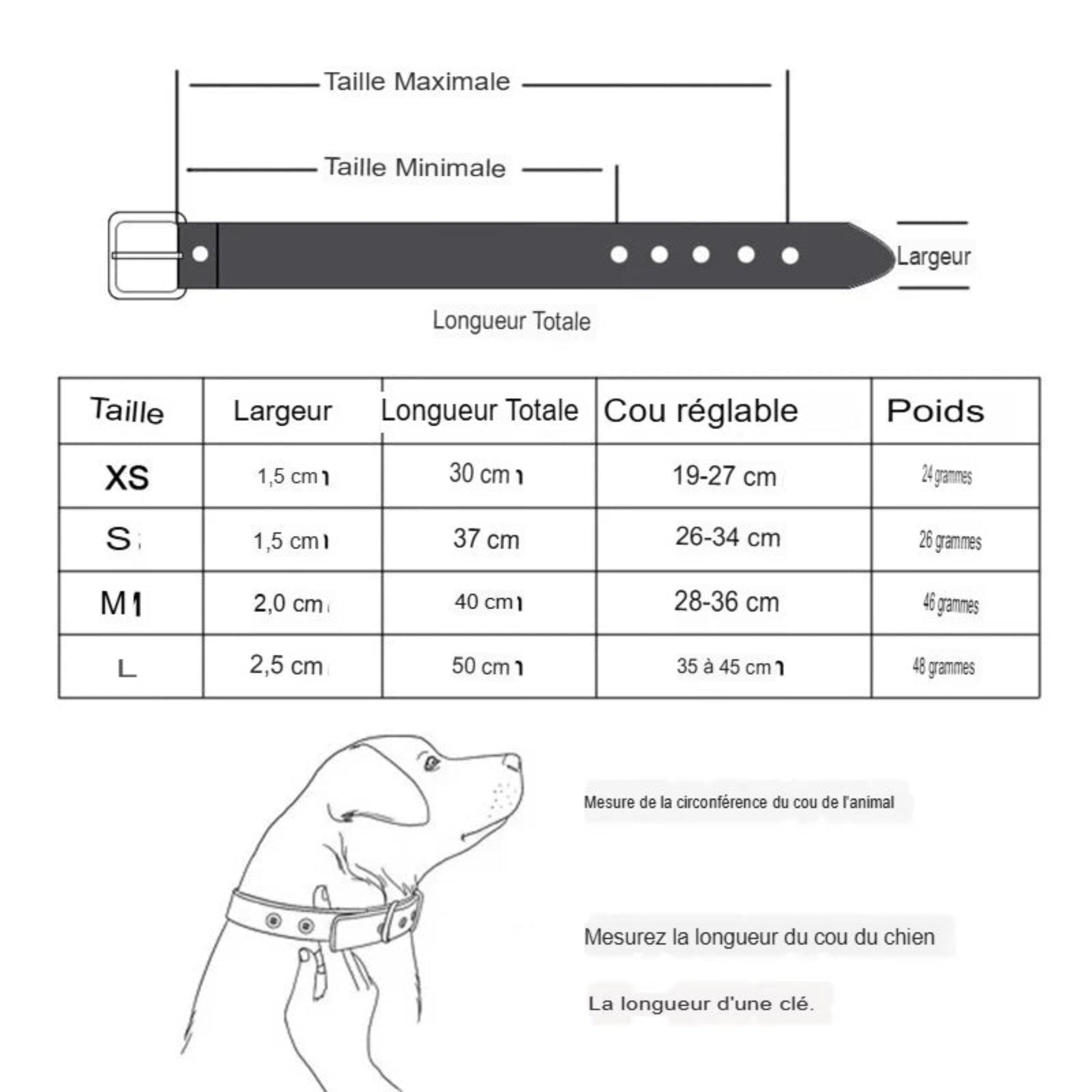 Collier en cuir durable pour chien et chiot, réglable et confortable, adapté aux petits et grands chiens