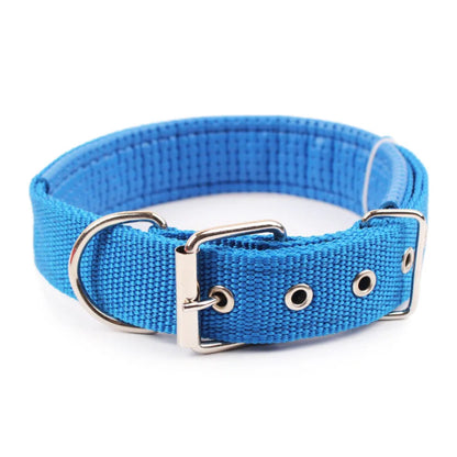 Collier en nylon solide et réglable pour chien, durable et confortable pour toutes tailles de chiens