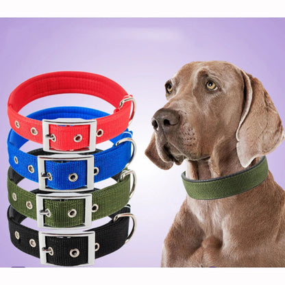 Collier en nylon solide et réglable pour chien, durable et confortable pour toutes tailles de chiens