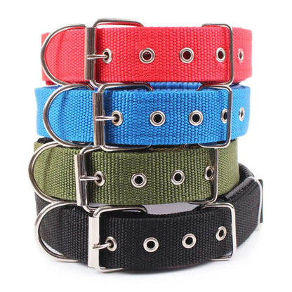 Collier en nylon solide et réglable pour chien, durable et confortable pour toutes tailles de chiens