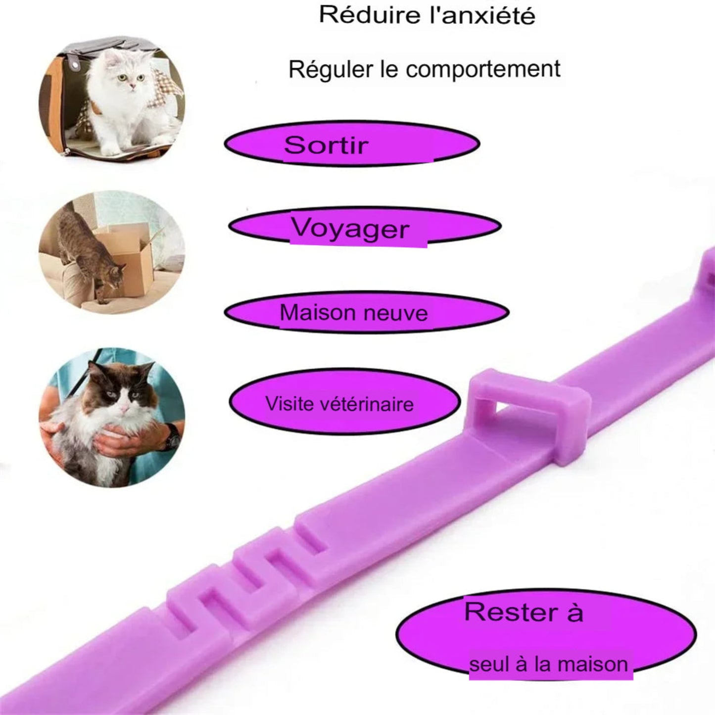 Collier apaisant anti-stress pour chiens et chats aux phéromones naturelles