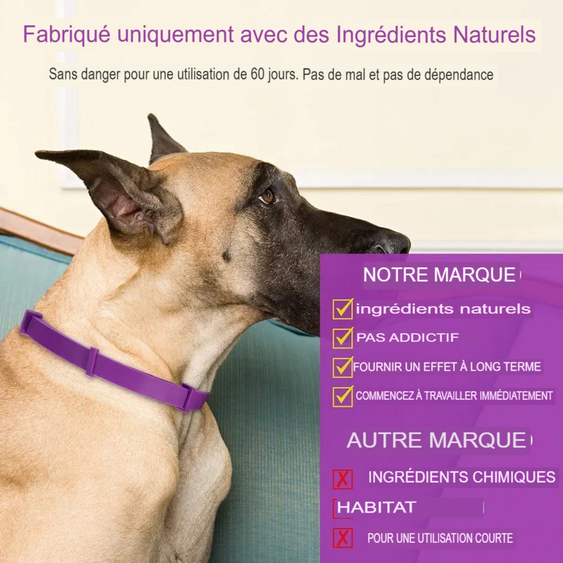 Collier apaisant anti-stress pour chiens et chats aux phéromones naturelles