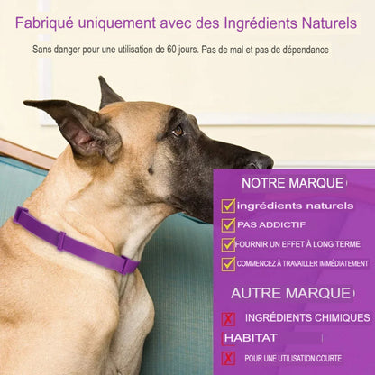 Collier apaisant anti-stress pour chiens et chats aux phéromones naturelles