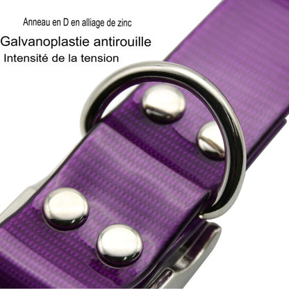 Collier pour chien imperméable en TPU et nylon, anti-odeur et facile à nettoyer, disponible en 7 couleurs
