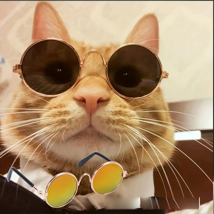 Costume de cowboy pour chien et chat avec chapeau en feutre, bandana rouge et lunettes jaunes dégradées