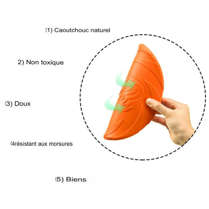 Disque volant pour chien – Léger, résistant et stimulant pour jeux en extérieur - Le Panier du Chien