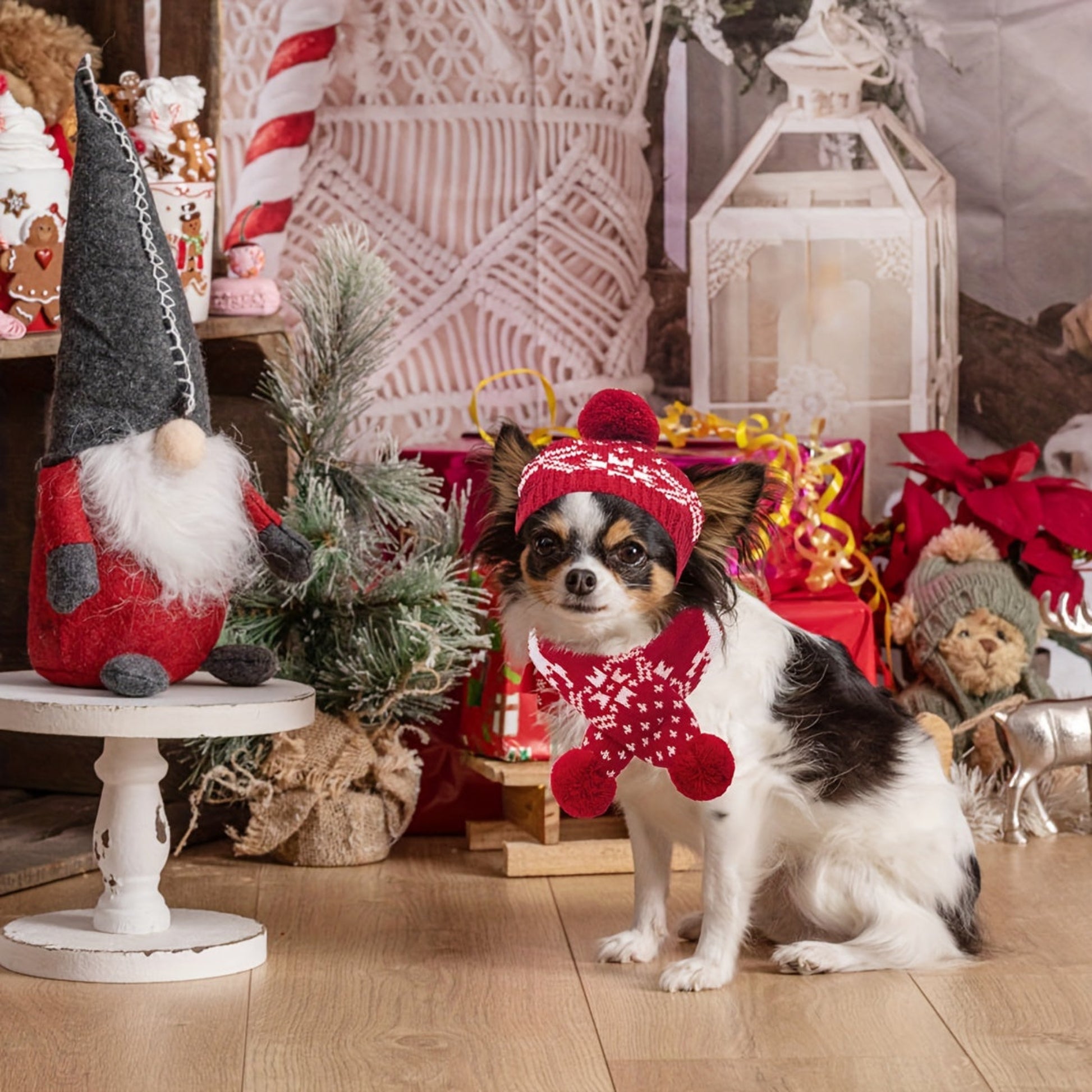 Chapeau et écharpe d’hiver rouges et blancs pour chien et chat avec motifs flocon et renne