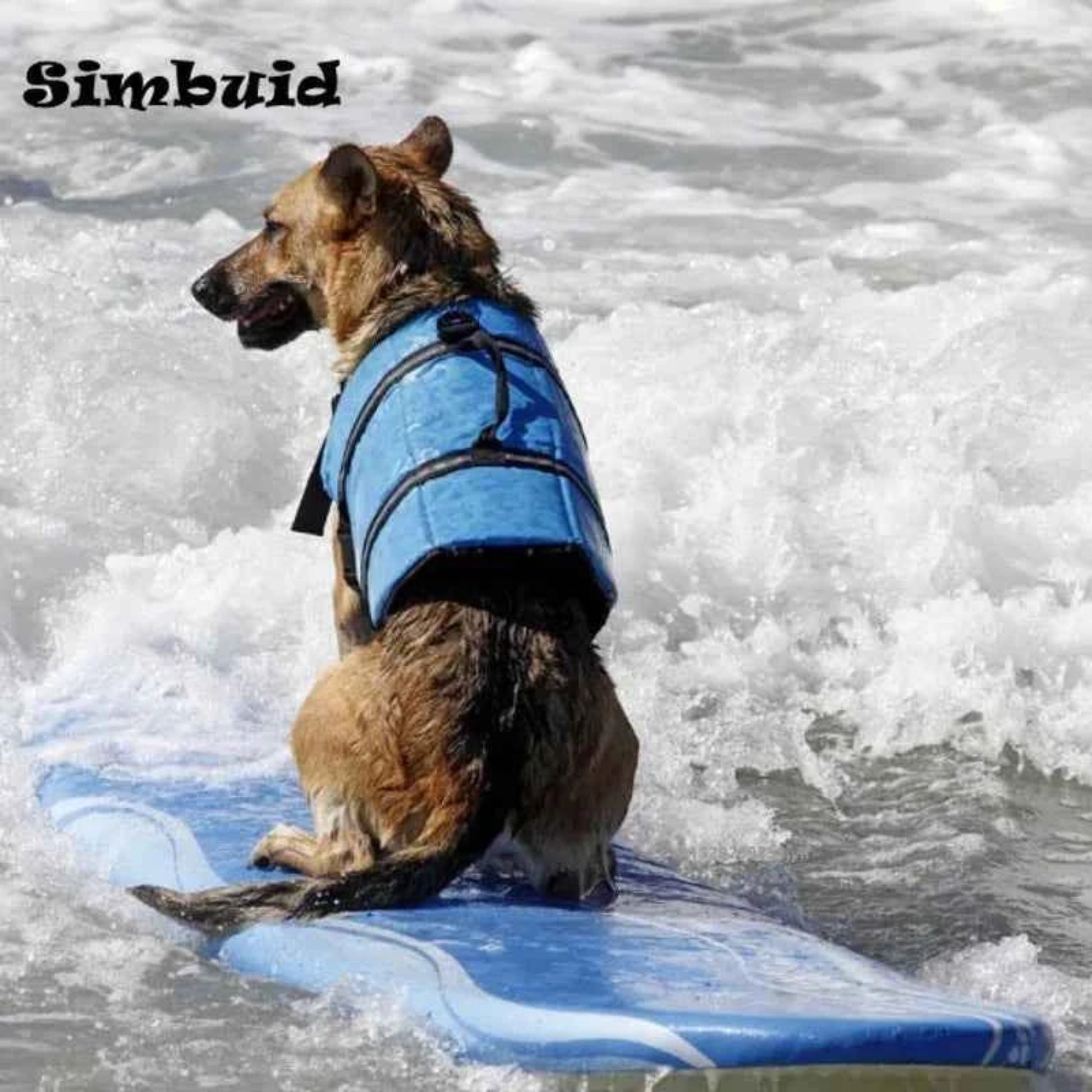 Gilet de sauvetage réfléchissant réglable pour grands chiens, maillot de bain, gilet de sécurité pour surf, voilier, flottabilité améliorée, vestes de sauvetage pour animaux de compagnie
